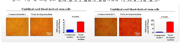 개발한 배양액이 기존 제품과 비교해 제대혈 줄기세포의 분화 능력에 미치는 영향 평가>