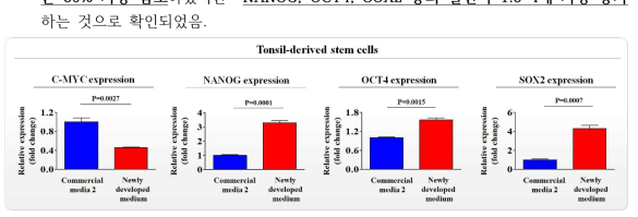 개발한 배양액이 기존 제품과 비교해 편도 줄기세포의 줄기세포성에 미치는 영향 평가>
