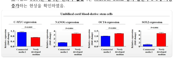 개발한 배양액이 기존 제품과 비교해 제대혈 줄기세포의 줄기세포성에 미치는 영향 평가>