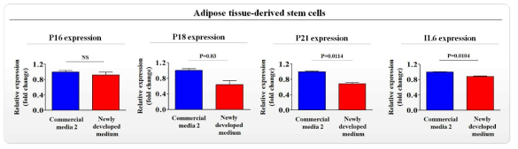 개발한 배양액이 기존 제품과 비교해 지방 줄기세포의 노화 (aging)에 미치는 영향 평가>