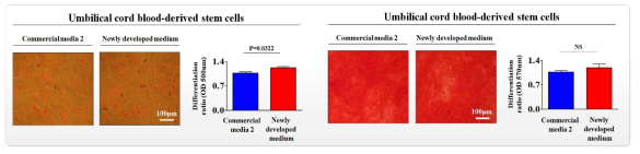 개발한 배양액이 기존 제품과 비교해 제대혈 줄기세포의 분화 능력에 미치는 영향 평가>
