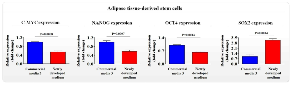 개발한 배양액이 기존 제품과 비교해 지방 줄기세포의 줄기세포성에 미치는 영향 평가>