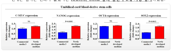 개발한 배양액이 기존 제품과 비교해 제대혈 줄기세포의 줄기세포성에 미치는 영향 평가>