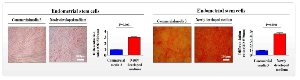 개발한 배양액이 기존 제품과 비교해 자궁 줄기세포의 분화 능력에 미치는 영향 평가>