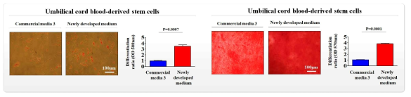 개발한 배양액이 기존 제품과 비교해 제대혈 줄기세포의 분화 능력에 미치는 영향 평가>
