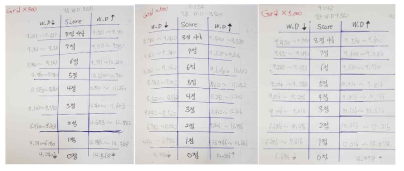 수동 지정 등급별 WD 영역