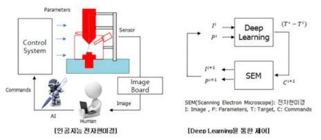 딥러닝 기반 인공지능 전자현미경 개념도
