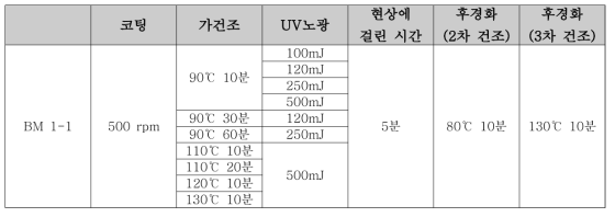 BM 1-1 실험공정 조건