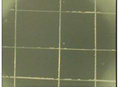 BM 3-5 크로스컷 테스 트 광학현미경으로 관찰