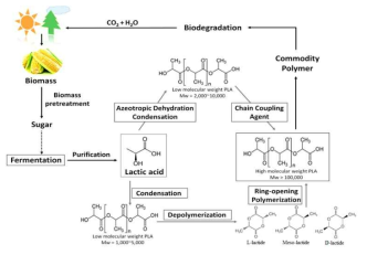 바이오매스 기반 생문해성 플라스틱 PLA의 생산 모식도