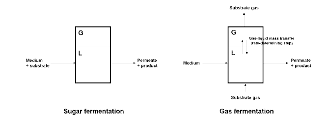 일반적인 당 발효와 가스 발효의 공정 개략도 차이