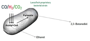 LanzaTech의 합성가스 발효전환을 통한 에탄올, 23-BDO 생산 개념도