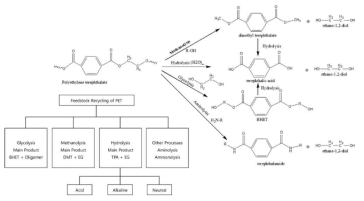 PET 해중합의 화학적 반응경로 및 생성 제품
