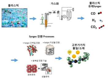 가스화 및 생물 전환을 통한 플라스틱 upcycling 개요도