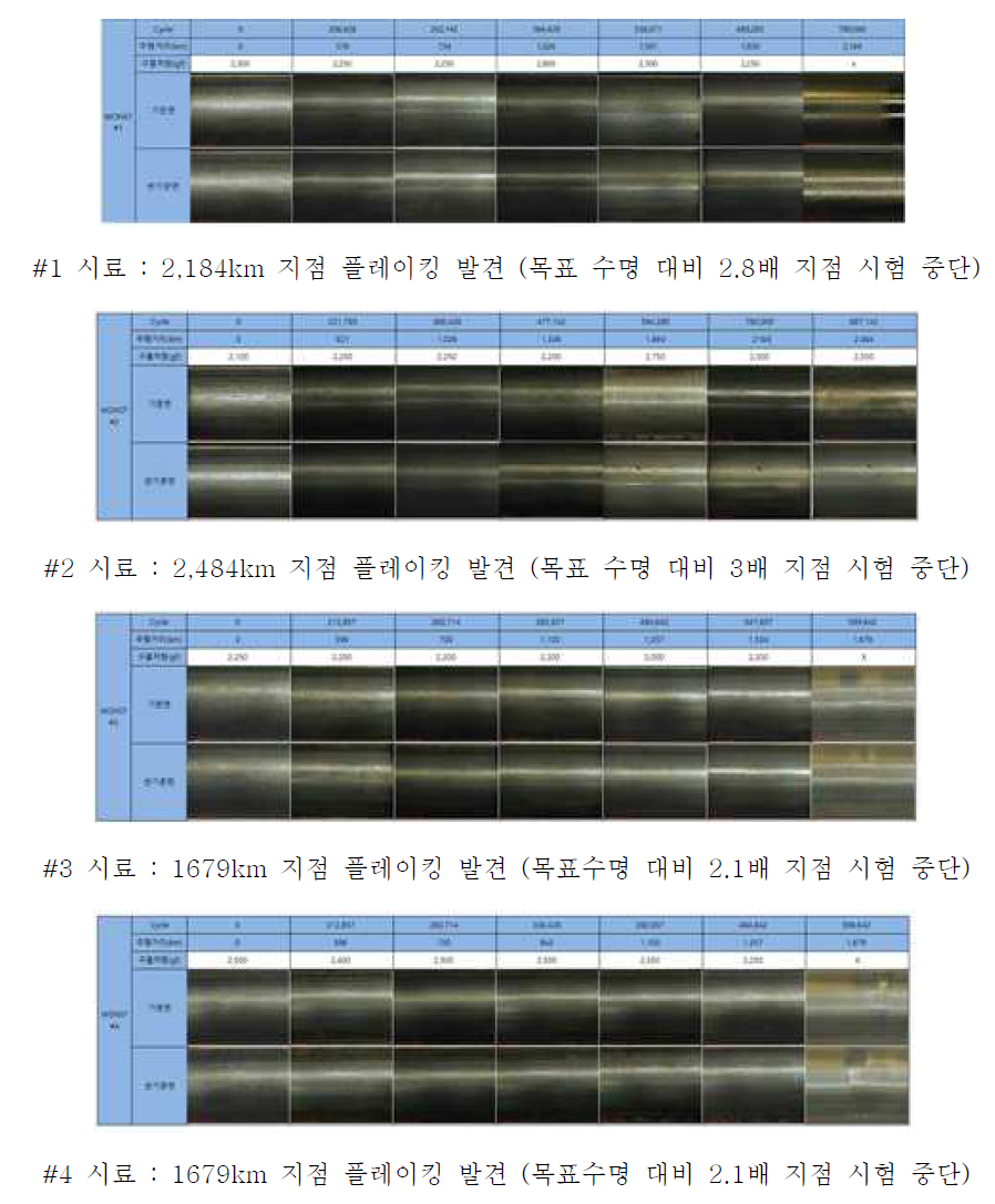 표면 분석을 통한 플레이킹 유무 검사