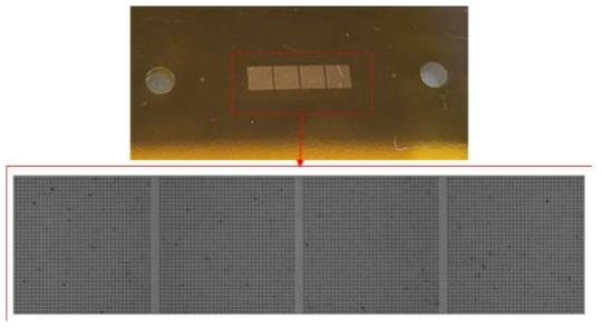 가공 완료 샘플 사진(상) 및 저배율 현미경 홀 측정 사진 (하)