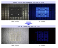 마이크로LED 전사 전/후 이미지