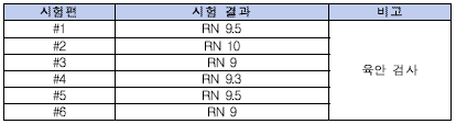 내식성 시험 결과