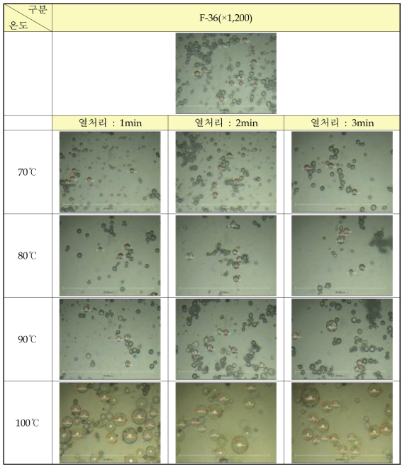 F-36의 온도별 처리 시간에 대한 팽창성