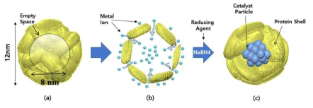단백질 희생층(Apoferritin)을 이용한 고분산성 나노촉매 합성 모식도((a)~(c)