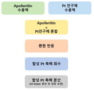 단백질 희생층(Apoferritin)을 활용한 귀금속 촉매 합성공정