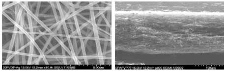 전기방사된 PVDF 나노섬유의 표면 및 단면의 주사전자 현미경 사진
