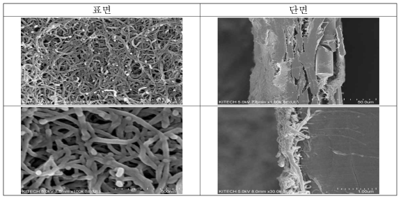 CNT spray 후 SEM 측정결과