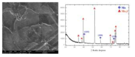 사용 Mo 도가니 표면 반응물 SEM 및 XRD 분석