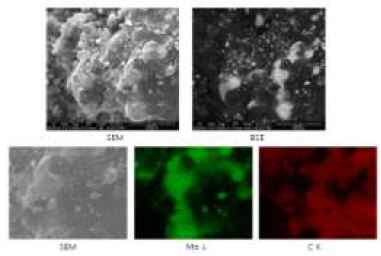 열화된 graphite 표면의 SEM 및 EDX 분석