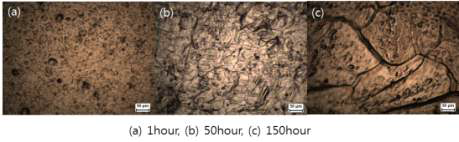 Shot peening한 시편의 어닐링 시간별 미세조직 (어닐링 온도 : 2,100℃, Shot peening : 0.3MPa/60sec)