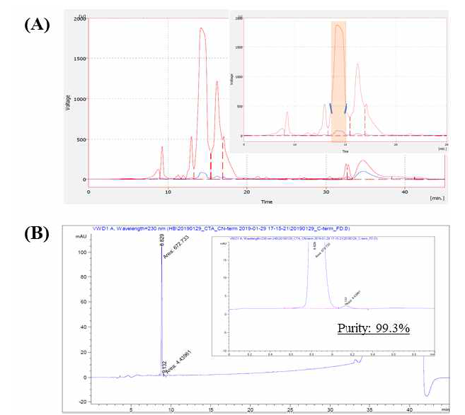 중간체 2의 (A) 정제 chromatogram, (B) 분석 chromatogram