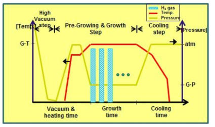 H2 gas 실험에 사용된 성장 조건