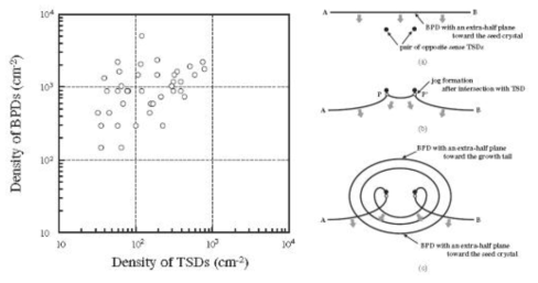 (a) Correlation between the BPD and TSD denisties in 4H-SiC crystals (b) Schematic illustration of the interaction of dliding BPDs with a forest of TSDs parallel to the c-axis