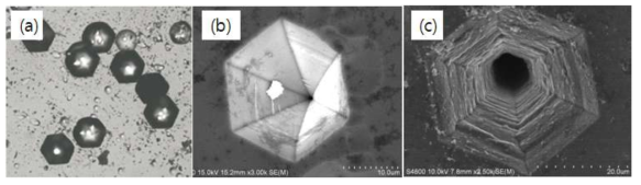 현미경과 SEM으로 관찰한 Micropipe와 TSD 이미지: (a) KOH etching 후 광학현미경 이미지, (b) TSD의 SEM 이미지, (c) micropipe의 SEM 이미지