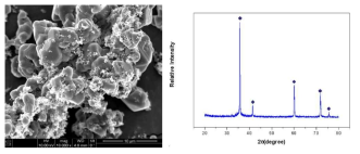 FE-SEM image and XRD patterns of β-SiC powder