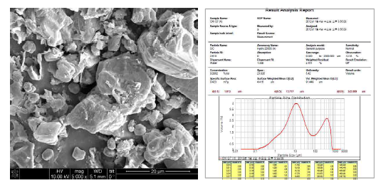 FE-SEM image and PSA analysis of β-SiC powder