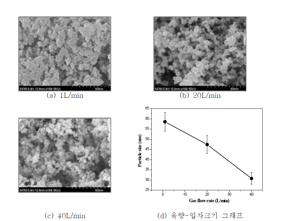 가스 유량에 따른 particle 사이즈(SEM ×1,000)