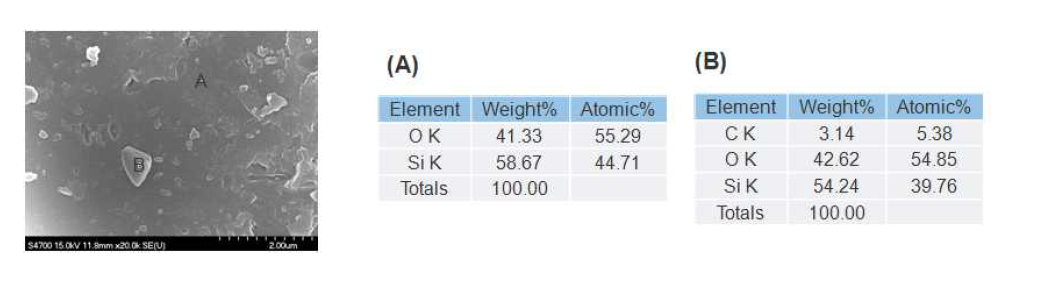 Sample B의 EDX로 분석된 각 부분의 성분원소 함량