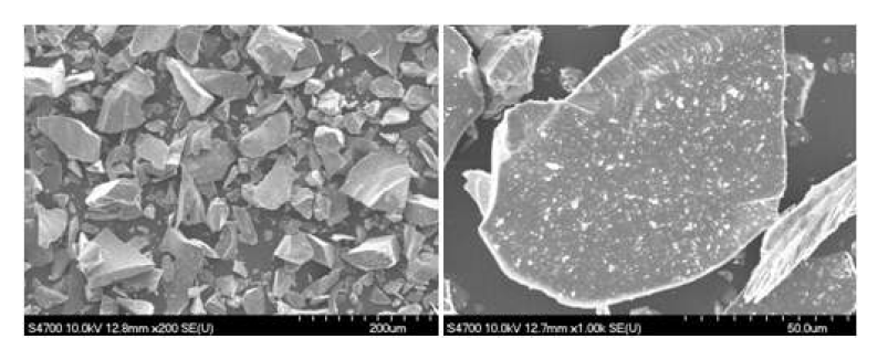 Sample C의 SEM 사진 (a) ×200, (b) ×1000