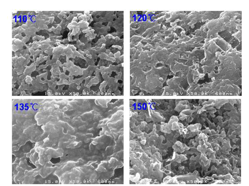 SEM images of the coating powders on the CU foil form M-TECH roller