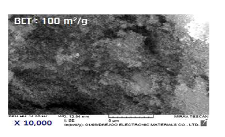 FE-SEM 이미지 및 BET