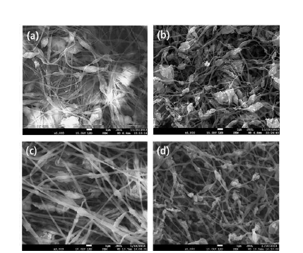 SiOx/CNFs (PAN:Pitch=4:6)의 stirring 시간 조절에 따른 SEM image조절 전: (a) 열처리 전, (b) 열처리 후, 조절 후: (c) 열처리 전, (d) 열처리 후