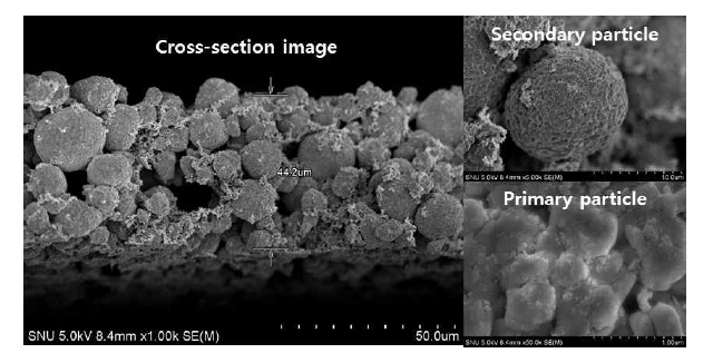 NCM622 pristine 전극의 cross-section SEM 이미지와 NCM622 활물질의 이차 및 일차 입자