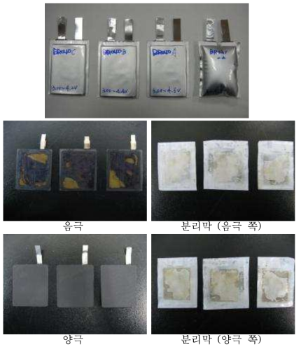 실험 후의 Bi-cell 및 분해 사진