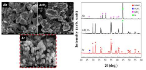 Reaction gas에 따른 LiFeBO3 분말의 미세구조 및 결정구조