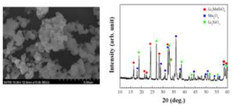 고상법으로 제조한 Li2MnSiO4의 SEM, XRD