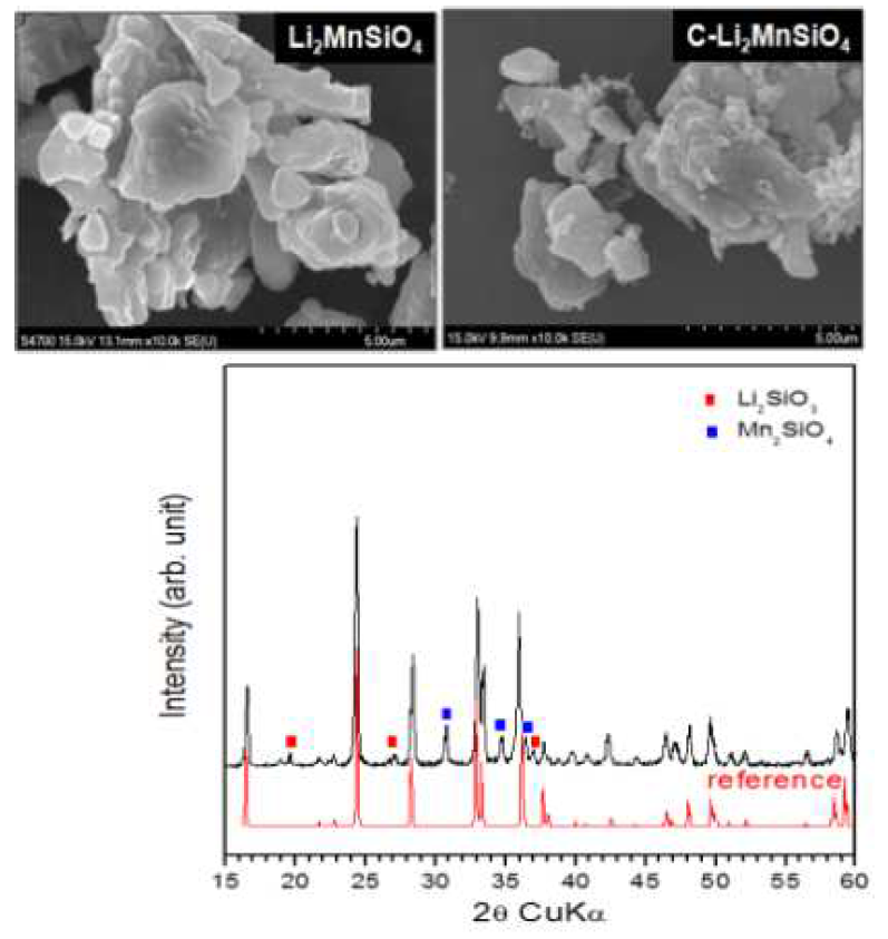 amorphous Si 전구체로 제조된 Li2MnSiO4의 SEM, XRD