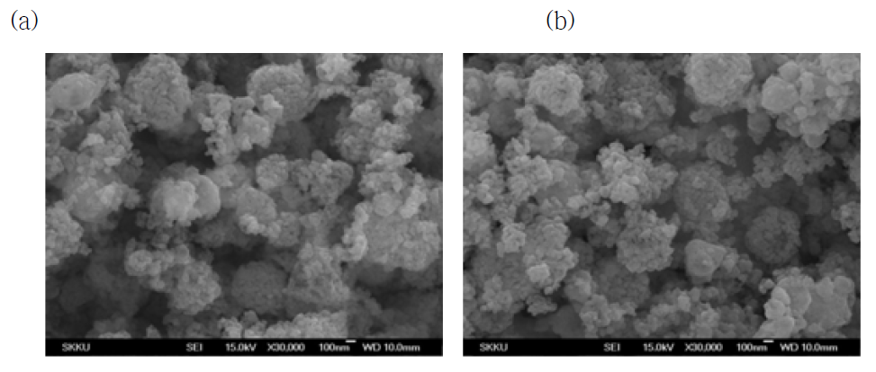 (a) stoichiometric LFMP, (b) non-stoichiometric LFMP의 SEM 이미지