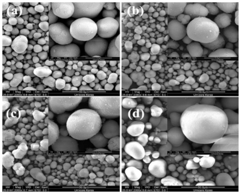 공침법에 의해 합성된 metal carbonate 전구체의 전자현미경 이미지; (a) bare, (b) 2mol% Co (Mn/Ni=1.0), (c) 5 mol% Co (Mn/Ni=1.24), 그리고 (d) 5 mol% Co (Mn/Ni=1.0)