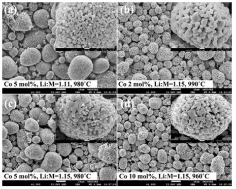 대표적인 NMC 입자의 FE-SEM 사진; (a) 5mol% Co (Li/M=1.11) (b) 2mol% Co (Li/M=1.15) (c) 5mol% Co (Li/M=1.15) (d)10mol% Co (Li/M=1.15)